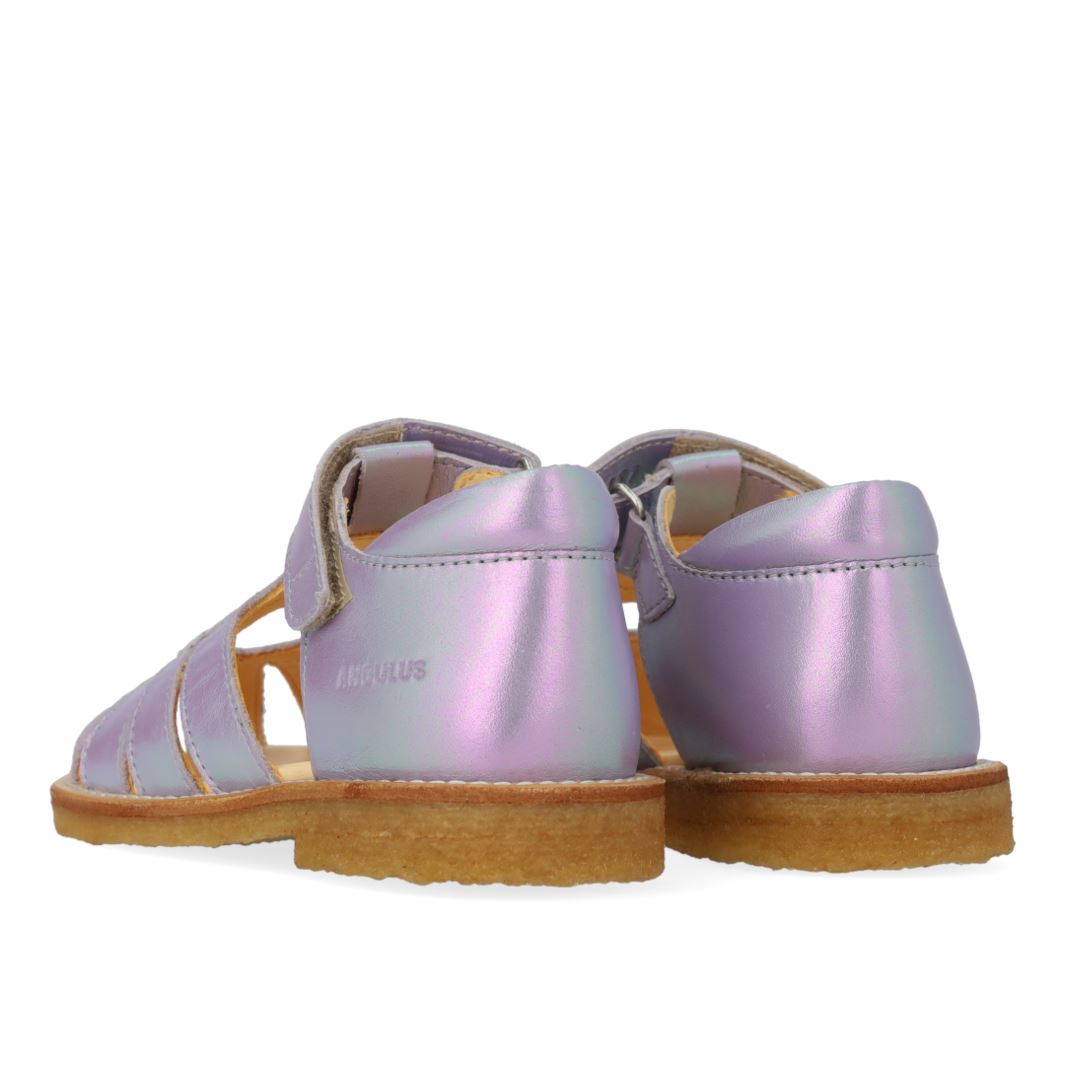 ANGULUS - 5186-101 - Iridescent Lilac Shine