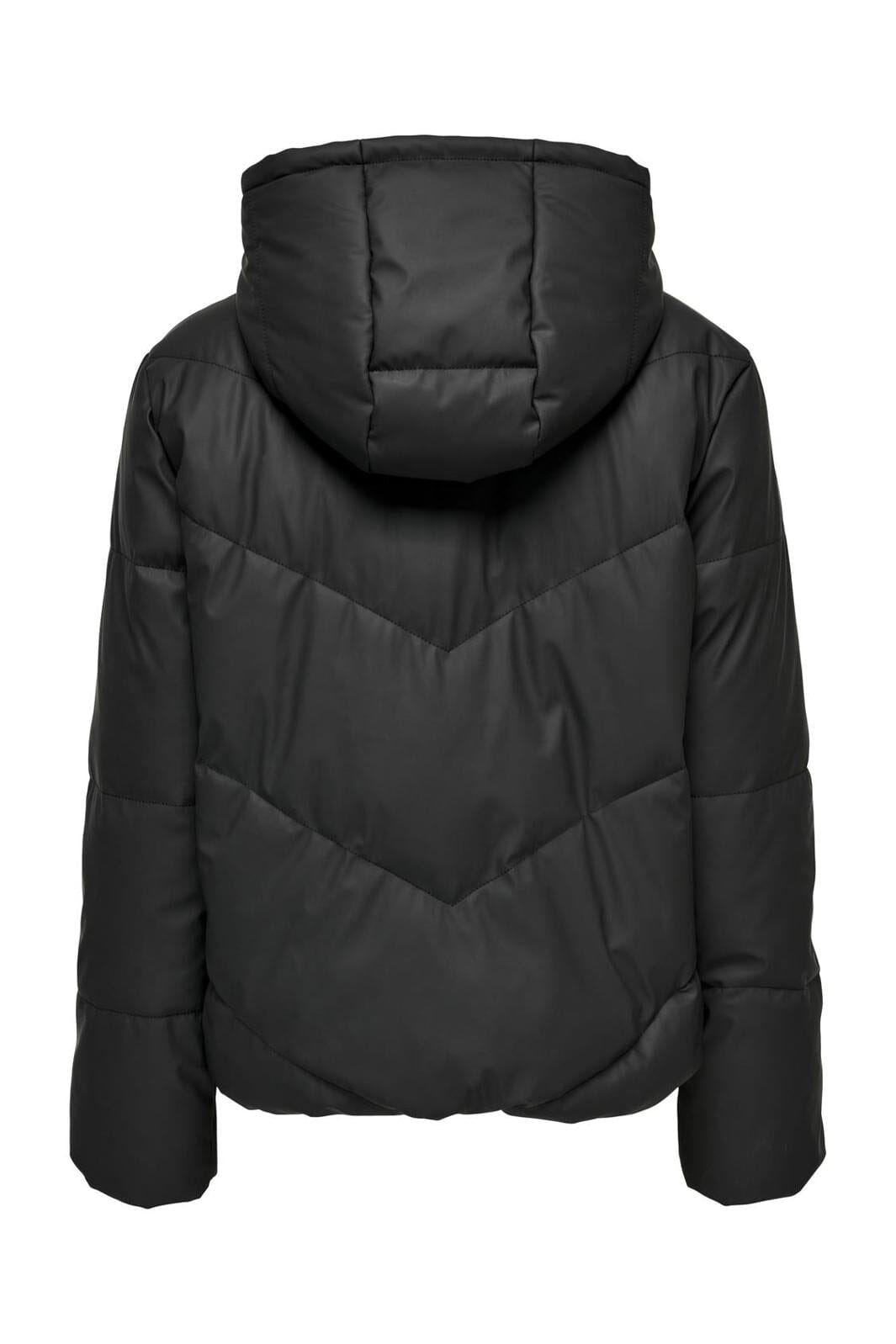 Jdy - Jdyarnhem Water Short Puffa - 4089199 Black