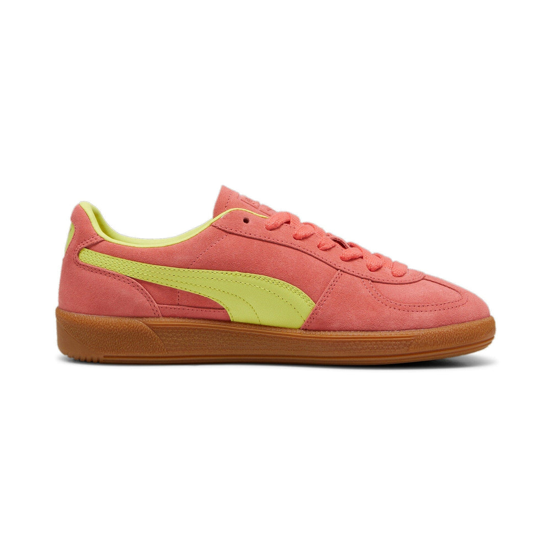 Puma - Palermo - Pink 22 Sneakers 